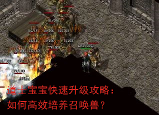 道士宝宝快速升级攻略:如何高效培养召唤兽? 道士宝宝快速升级攻略:如何高效培养召唤兽?