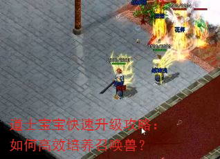 道士宝宝快速升级攻略:如何高效培养召唤兽? 道士宝宝快速升级攻略:如何高效培养召唤兽?