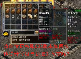 热血传奇私服003版本如何快速提升等级与获取装备攻略? 热血传奇私服003版本如何快速提升等级与获取装备攻略?
