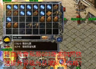 热血传奇私服003版本如何快速提升等级与获取装备攻略? 热血传奇私服003版本如何快速提升等级与获取装备攻略?