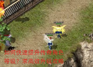 如何快速提升传奇角色等级?求高效升级攻略 如何快速提升传奇角色等级?求高效升级攻略