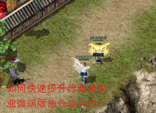 如何快速提升传奇单职业微端版角色战斗力? 如何快速提升传奇单职业微端版角色战斗力?