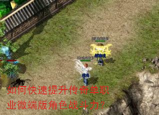 如何快速提升传奇单职业微端版角色战斗力? 如何快速提升传奇单职业微端版角色战斗力?