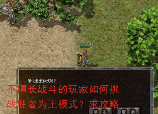 不擅长战斗的玩家如何挑战胜者为王模式?求攻略 不擅长战斗的玩家如何挑战胜者为王模式?求攻略