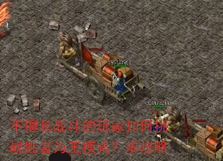 不擅长战斗的玩家如何挑战胜者为王模式?求攻略 不擅长战斗的玩家如何挑战胜者为王模式?求攻略