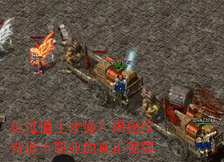玩过道士才懂?揭秘传奇道士职业的真正强弱 玩过道士才懂?揭秘传奇道士职业的真正强弱