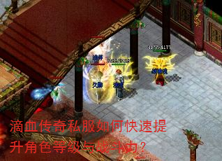 滴血传奇私服如何快速提升角色等级与战斗力? 滴血传奇私服如何快速提升角色等级与战斗力?
