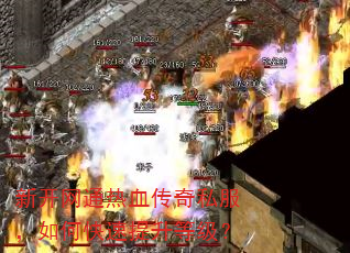 新开网通热血传奇私服,如何快速提升等级? 新开网通热血传奇私服,如何快速提升等级?