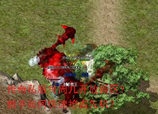 传奇私服每周几开放新区?新手如何快速抢占先机? 传奇私服每周几开放新区?新手如何快速抢占先机?