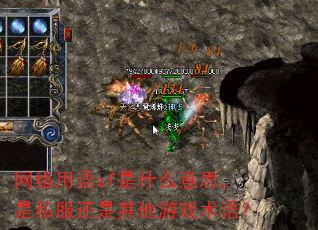 网络用语sf是什么意思,是私服还是其他游戏术语? 网络用语sf是什么意思,是私服还是其他游戏术语?