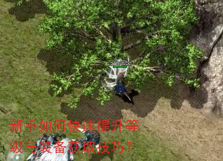 新手如何快速提升等级与装备获取技巧? 新手如何快速提升等级与装备获取技巧?