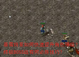 ��ѩ������ο���������ɫ�ȼ����ռ�BOSSս�кα�ʤ���ɣ�