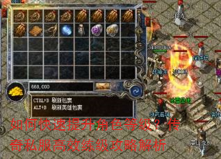 如何快速提升角色等级?传奇私服高效练级攻略解析 如何快速提升角色等级?传奇私服高效练级攻略解析