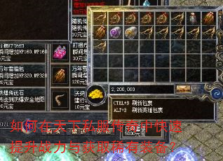 如何在天下私服传奇中快速提升战力与获取稀有装备? 如何在天下私服传奇中快速提升战力与获取稀有装备?