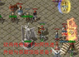 欣雨传奇新手如何快速升级与获取顶级装备? 欣雨传奇新手如何快速升级与获取顶级装备?