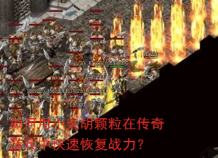 如何用小柴胡颗粒在传奇游戏中快速恢复战力? 如何用小柴胡颗粒在传奇游戏中快速恢复战力?