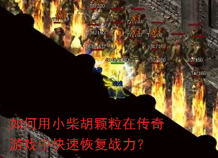 如何用小柴胡颗粒在传奇游戏中快速恢复战力? 如何用小柴胡颗粒在传奇游戏中快速恢复战力?