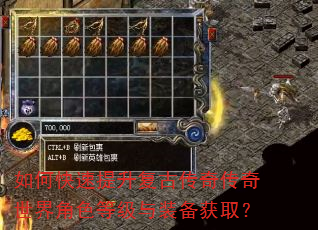 如何快速提升复古传奇传奇世界角色等级与装备获取? 如何快速提升复古传奇传奇世界角色等级与装备获取?