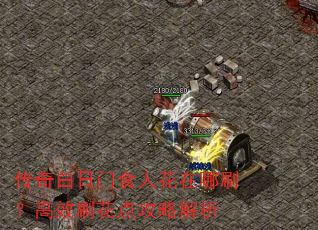 传奇白日门食人花在哪刷?高效刷花点攻略解析 传奇白日门食人花在哪刷?高效刷花点攻略解析