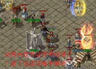 ��θ�Ч��ս����ս���������ٳɹ���ȫ����