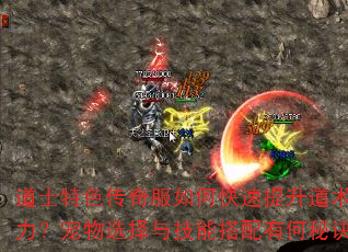 道士特色传奇服如何快速提升道术攻击力?宠物选择与技能搭配有何秘诀? 道士特色传奇服如何快速提升道术攻击力?宠物选择与技能搭配有何秘诀?