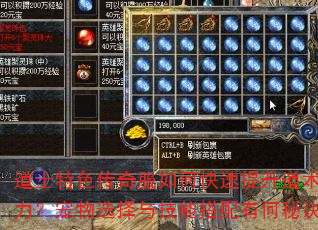 道士特色传奇服如何快速提升道术攻击力?宠物选择与技能搭配有何秘诀? 道士特色传奇服如何快速提升道术攻击力?宠物选择与技能搭配有何秘诀?