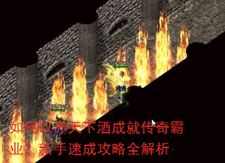 如何以赤天下酒成就传奇霸业?新手速成攻略全解析 如何以赤天下酒成就传奇霸业?新手速成攻略全解析
