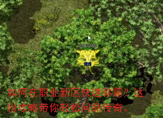 如何在职业新区快速称霸?这份攻略带你轻松问鼎传奇。 如何在职业新区快速称霸?这份攻略带你轻松问鼎传奇。