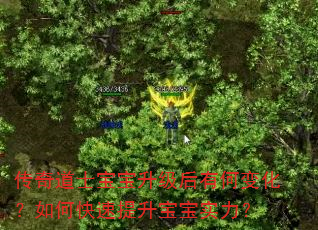 传奇道士宝宝升级后有何变化?如何快速提升宝宝实力? 传奇道士宝宝升级后有何变化?如何快速提升宝宝实力?